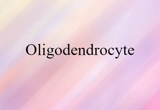 Oligodendrocyte (noun) Definition, Meaning & Examples