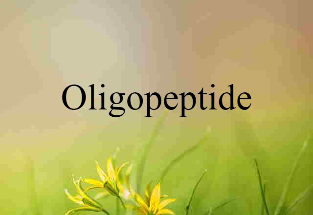 Oligopeptide (noun) Definition, Meaning & Examples