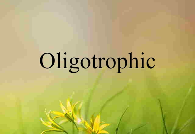 Oligotrophic (noun) Definition, Meaning & Examples