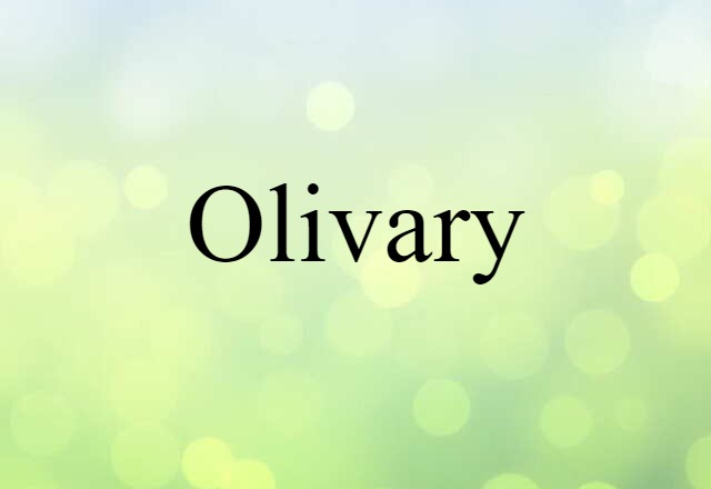 Olivary (noun) Definition, Meaning & Examples