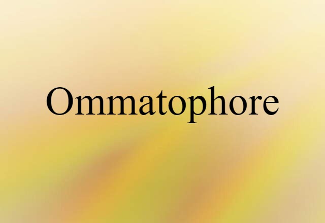 Ommatophore (noun) Definition, Meaning & Examples