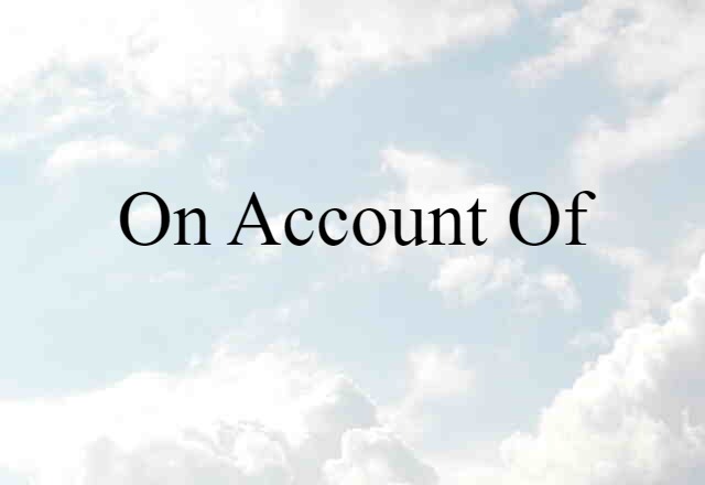 On Account Of (noun) Definition, Meaning & Examples