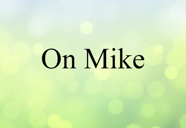 On-mike (noun) Definition, Meaning & Examples