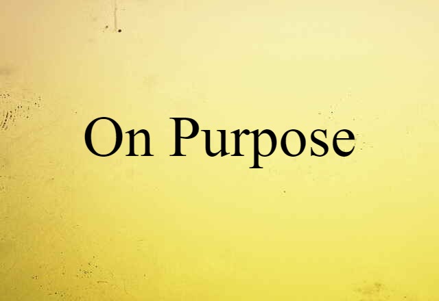 On Purpose (noun) Definition, Meaning & Examples