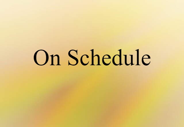 On Schedule (noun) Definition, Meaning & Examples