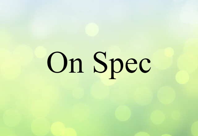 On Spec (noun) Definition, Meaning & Examples