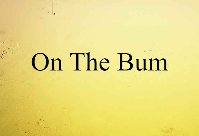 On The Bum (noun) Definition, Meaning & Examples