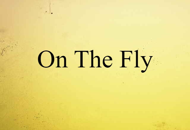 On The Fly (noun) Definition, Meaning & Examples