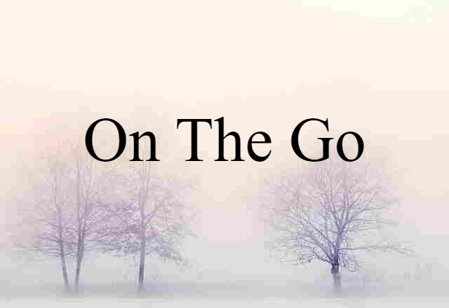 On The Go (noun) Definition, Meaning & Examples