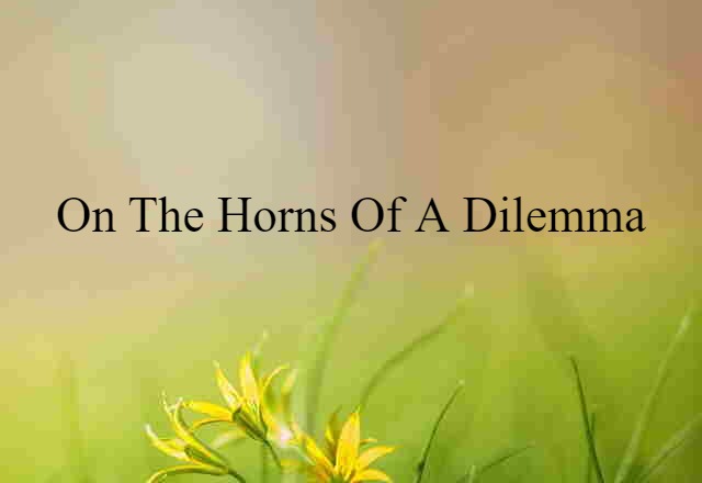 on the horns of a dilemma