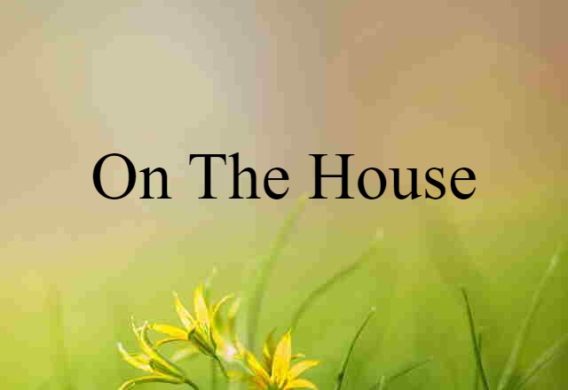 On The House (noun) Definition, Meaning & Examples