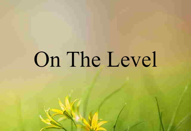 On The Level (noun) Definition, Meaning & Examples