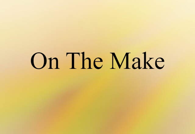 On The Make (noun) Definition, Meaning & Examples