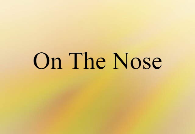 On The Nose (noun) Definition, Meaning & Examples