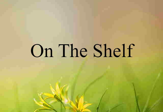 On The Shelf (noun) Definition, Meaning & Examples