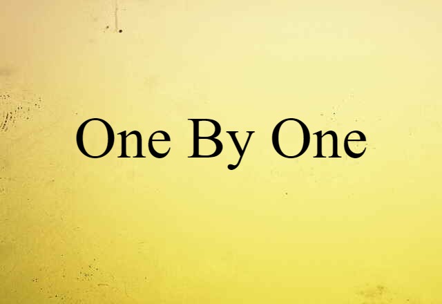 One By One (noun) Definition, Meaning & Examples