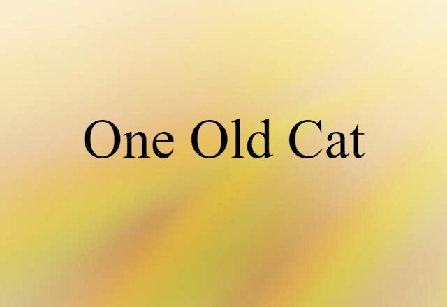 One Old Cat (noun) Definition, Meaning & Examples