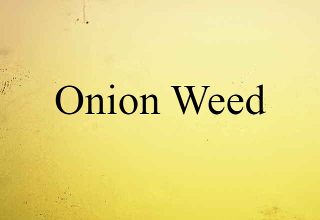 Onion Weed (noun) Definition, Meaning & Examples