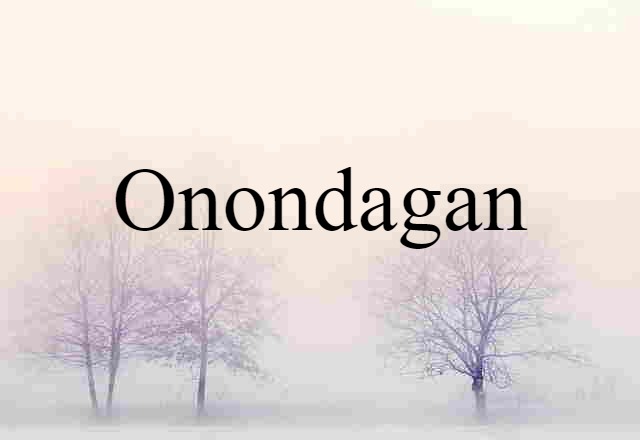 Onondagan (noun) Definition, Meaning & Examples