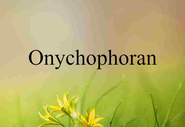 Onychophoran (noun) Definition, Meaning & Examples