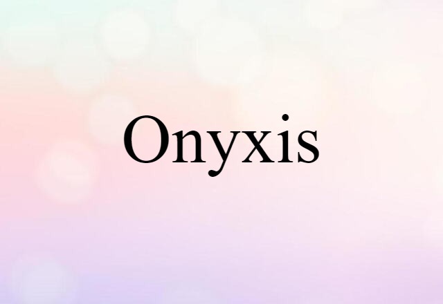 Onyxis (noun) Definition, Meaning & Examples