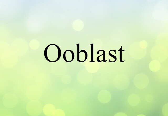 Ooblast (noun) Definition, Meaning & Examples