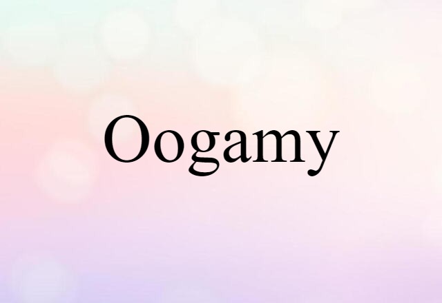 oogamy