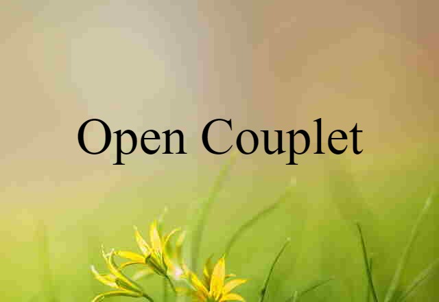 Open Couplet (noun) Definition, Meaning & Examples