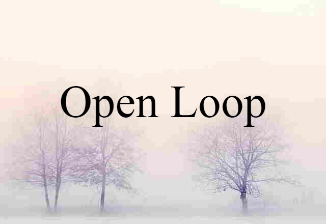 Open Loop (noun) Definition, Meaning & Examples