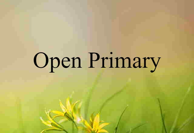 open primary