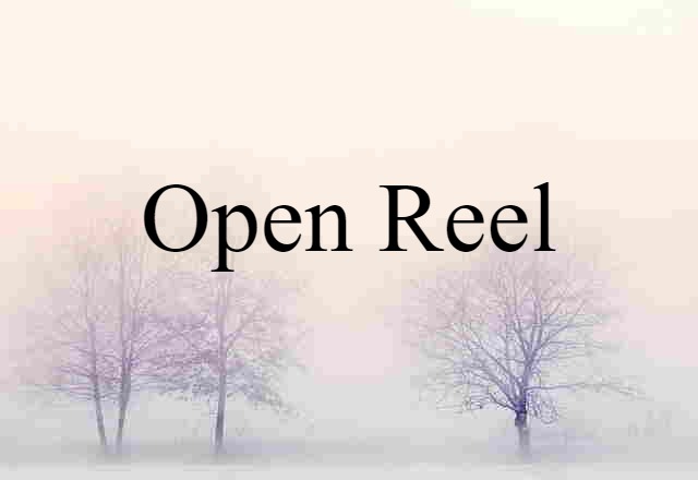 open-reel