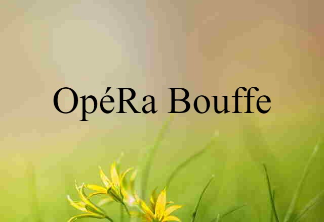 Opéra Bouffe (noun) Definition, Meaning & Examples