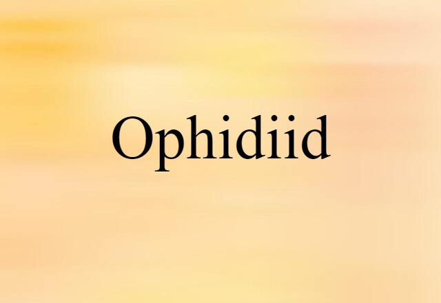 Ophidiid (noun) Definition, Meaning & Examples