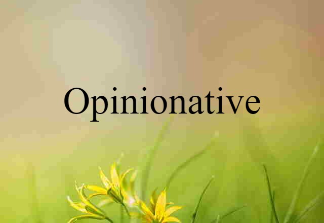 Opinionative (noun) Definition, Meaning & Examples