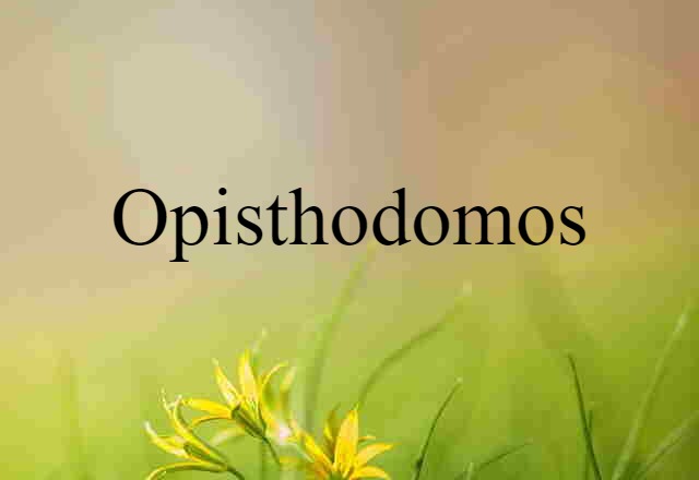 Opisthodomos (noun) Definition, Meaning & Examples