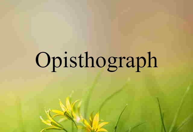 Opisthograph (noun) Definition, Meaning & Examples