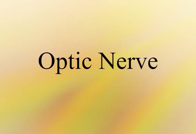 Optic Nerve (noun) Definition, Meaning & Examples