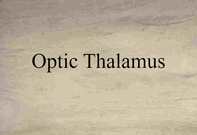 optic thalamus