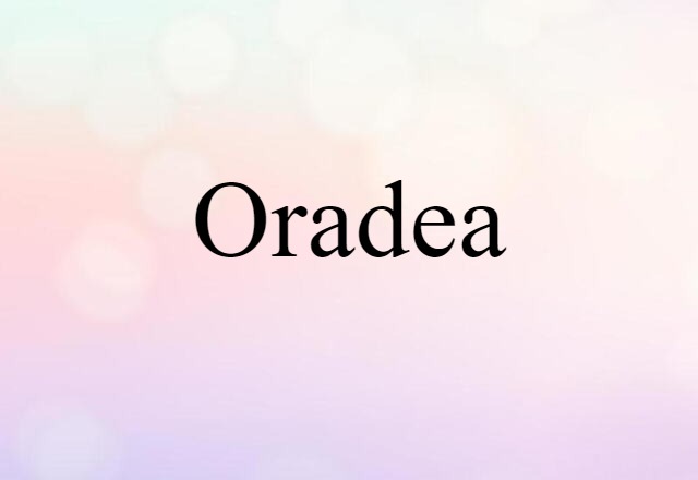 Oradea (noun) Definition, Meaning & Examples