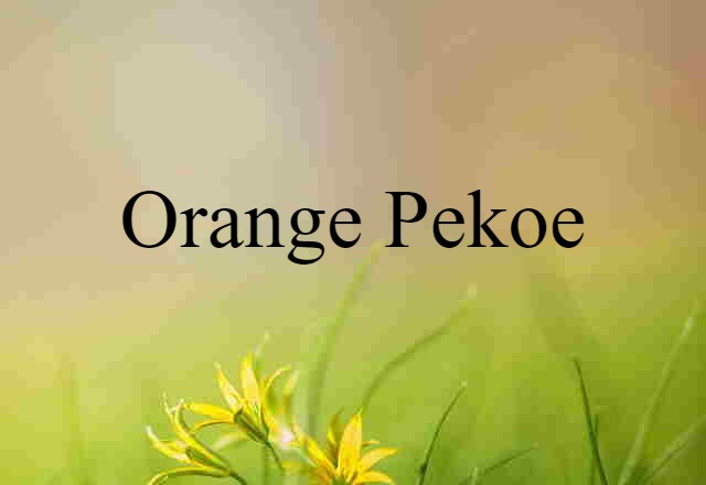 orange pekoe