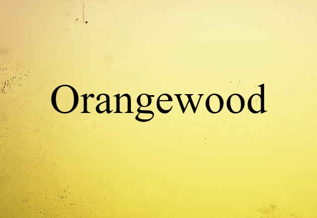 Orangewood (noun) Definition, Meaning & Examples