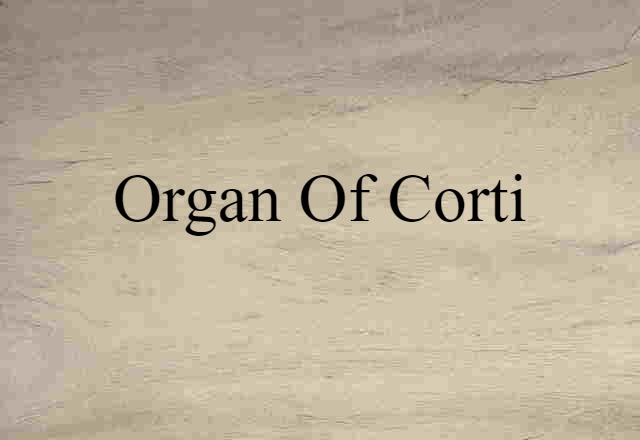 organ of Corti