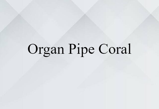 Organ-pipe Coral (noun) Definition, Meaning & Examples