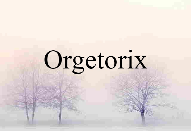 Orgetorix (noun) Definition, Meaning & Examples