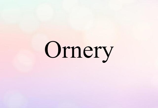 Ornery (noun) Definition, Meaning & Examples