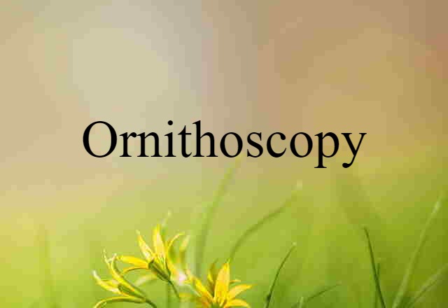 Ornithoscopy (noun) Definition, Meaning & Examples