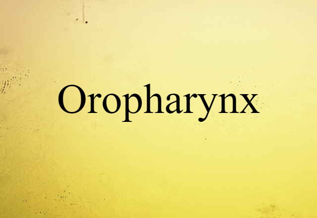 Oropharynx (noun) Definition, Meaning & Examples