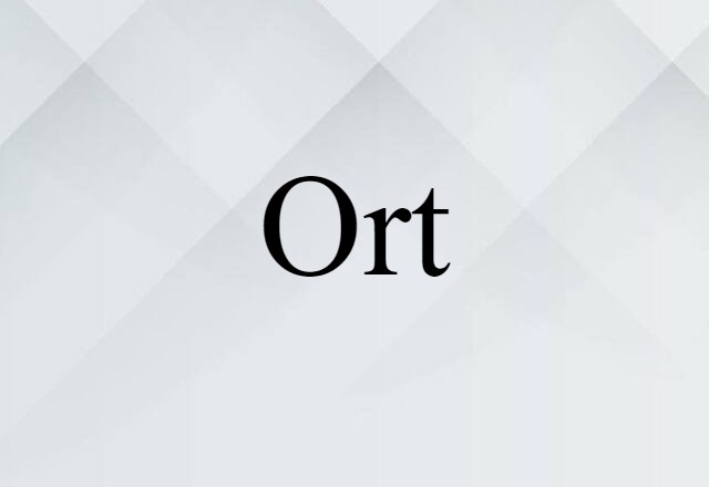 Ort (noun) Definition, Meaning & Examples