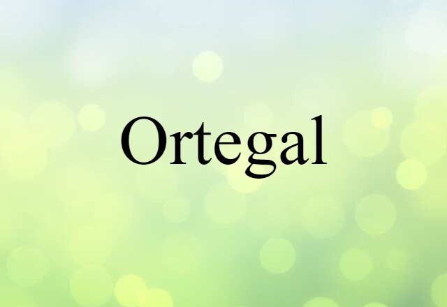 Ortegal (noun) Definition, Meaning & Examples