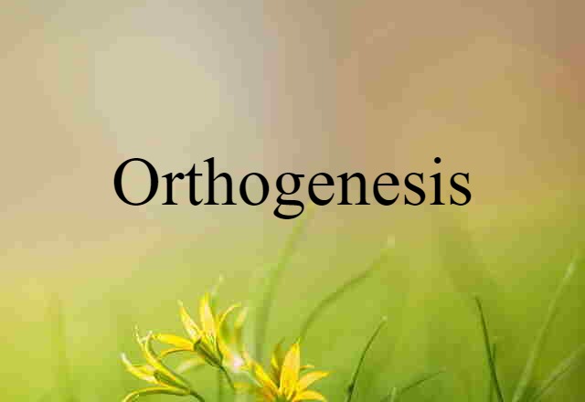 orthogenesis